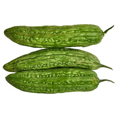 Ridge Gourd