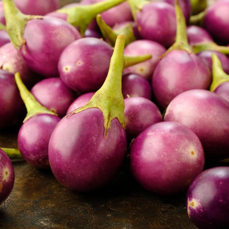 Brinjal