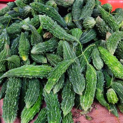 Karela (Bitter Gourd)