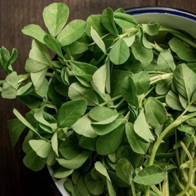 Methi (Fenugreek Leaves)