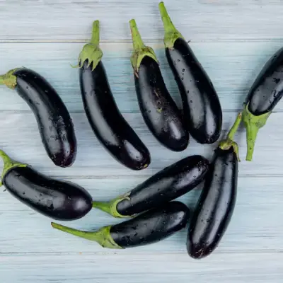 Brinjal